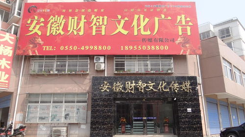 安徽財智文化廣告傳媒